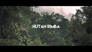 Download lagu King of Borneo - Hutan Rimba mp3