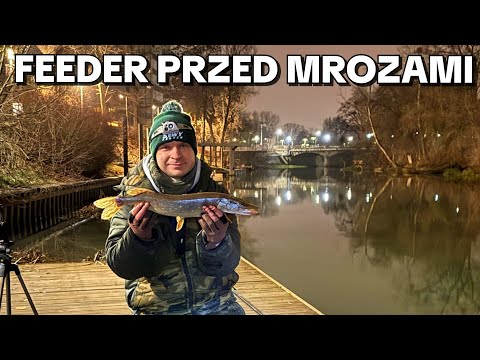 634 PICKER PRZED MROZAMI! NIESPODZIEWANY GOŚĆ W ŁOWISKU - OŁAWKA - WROCŁAW