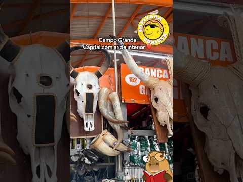 Campo Grande - Mato Grosso do Sul #campograndemsbrasil #campograndems