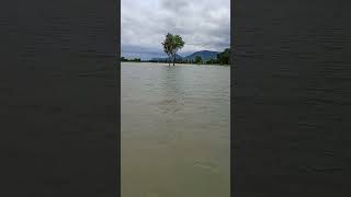 Download lagu badh mein sab doob Gaya field bhi #viral video # mp3 Download lagu badh mein sab doob Gaya field bhi #viral video # mp3