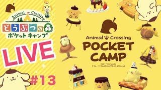 [ポケ森]ライブ#13 雑談しながらほのぼのスローライフ♪どうぶつの森ポケットキャンプ