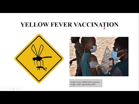 Yellow Fever Vaccination || Yellow Fever Vaccination Centres in India