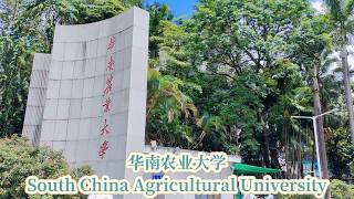 South China Agricultural University｜华南农业大学 SCAU vlog｜2025年6月22日
