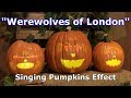 Werewolves Of London Singing Pumpkins Effect Animation