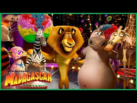 Uma Apresentação de Circo 🎪 | Madagascar 3: Os Procurados | DreamWorks Madagascar em Português
