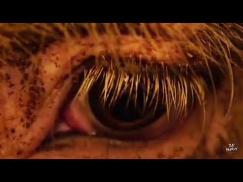 Isac no Beat - Alimentação