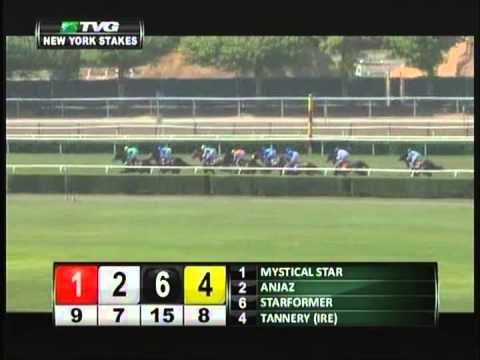 2013 New York Handicap - Starformer