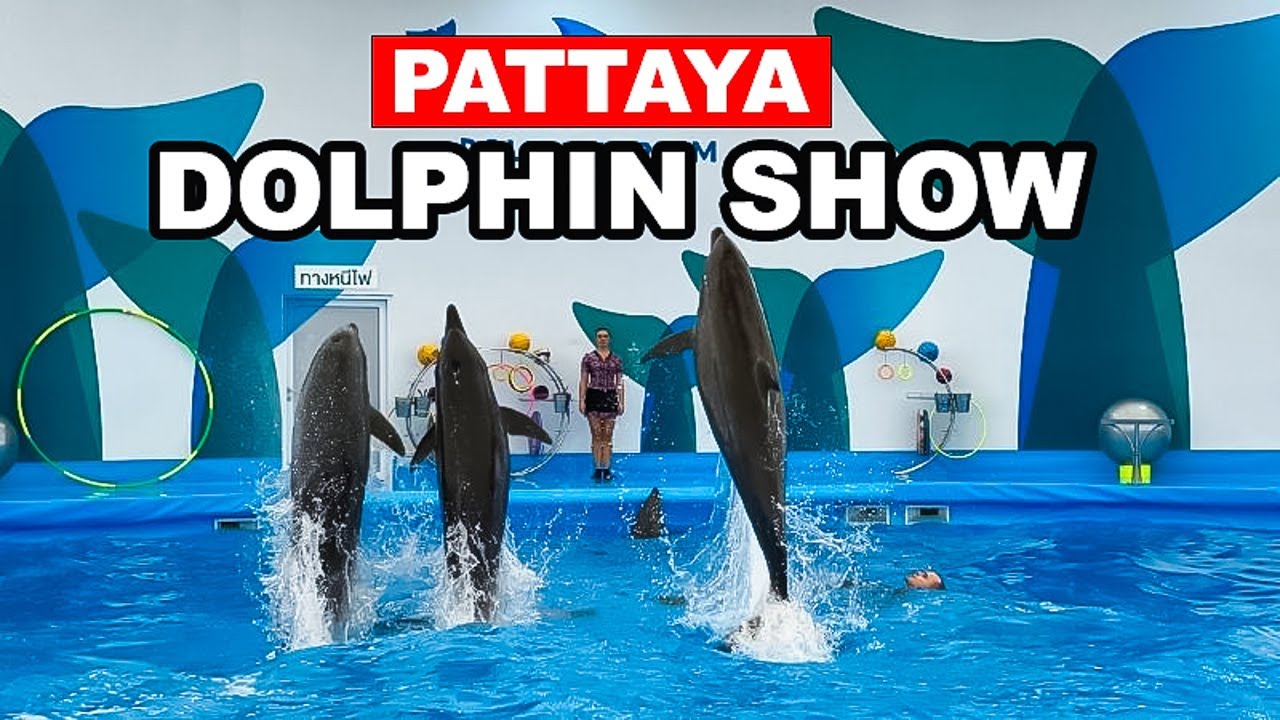 Experience the captivating Dolphinarium in Pattaya, a tourist's delight.