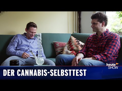 Cannabis-Legalisierung: Selbstversuch für die Wissenschaft