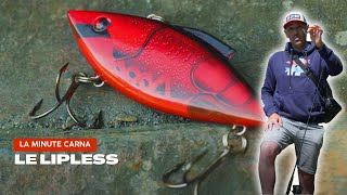Tuto pêche : tout savoir sur le leurre lipless - La Minute Carna