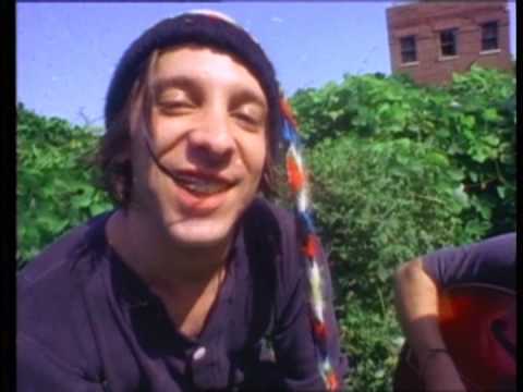 MERCURY REV - Chasing a bee