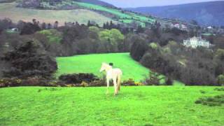 Chuaigh Me &#39;Na Rosann - Irish Celtic Music