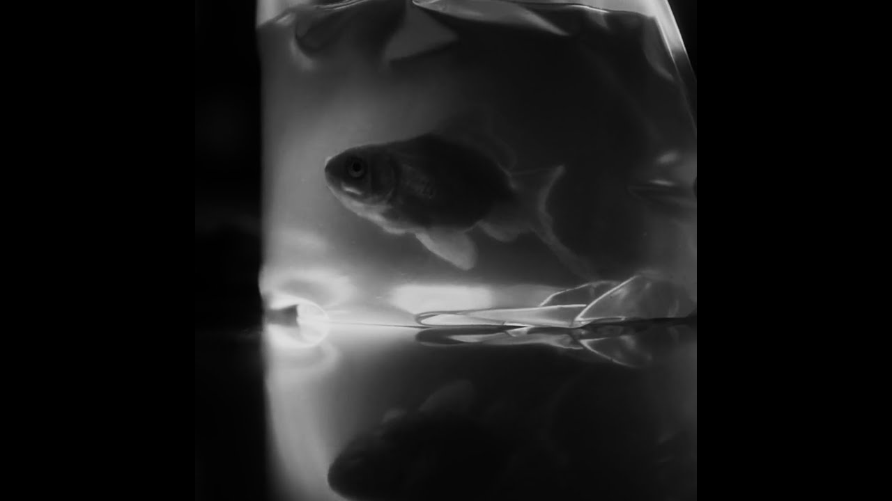 Zespół Smutne Piosenki powraca piosenką „Samotność”