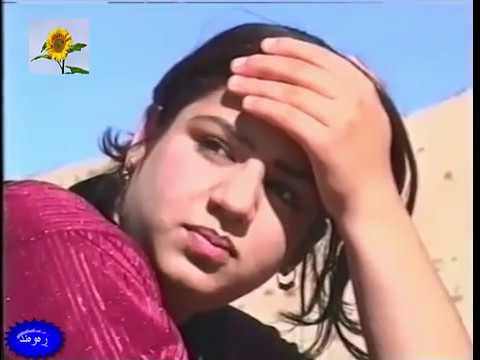 نەمر حەسەن ڕەسوڵ سیساوەیی، باسی خۆشەویستی ئەسمەری کاک بایزی و مامەری دەکات!