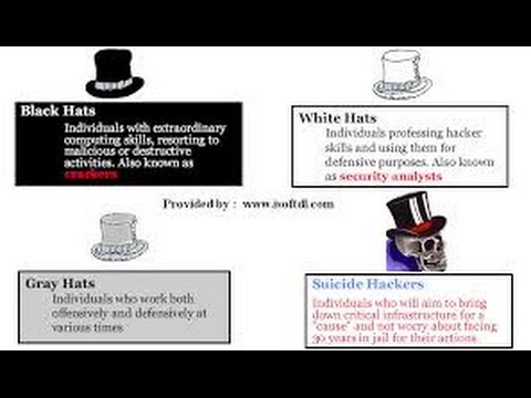 Types of Hackers: Black Hats, White 