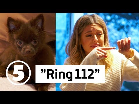 Wahlgrens värld | Biancas panik: Sammi har ett ODJUR i magen! | discovery+ Sverige