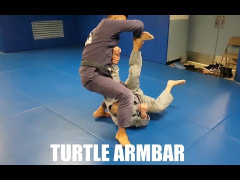 Turtle | Armbar by Professor Kris Kim, Seoul, Korea