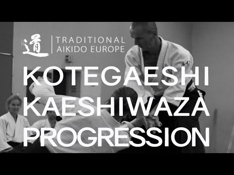 TRADITIONAL AIKIDO EUROPE - Kotegaeshi Kaeshiwaza Progression - LEWIS BERNALDO DE QUIROS - Malmsheim