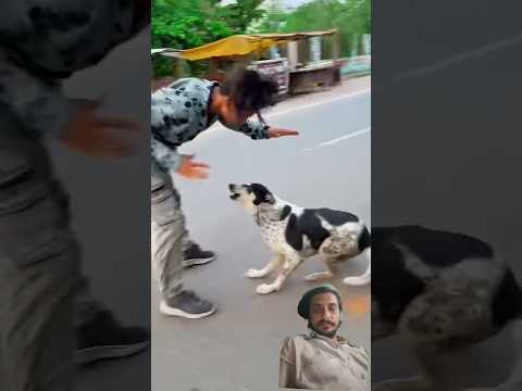 Dog🐶friendship speaks louder than word😥 #viraljump #talentedboystunt #dogapparel #funny