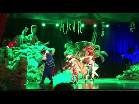 CIRCLE OF LIFE SHOW PREMIERE - LION KING TRIBUTE 2018