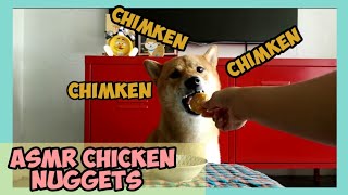 My Dog try Chicken Nuggets for the First Time || ASMR Chicken Nuggets || Hero the Shiba inu