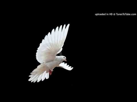 Today's Tango Is... Yo Tengo Un Pecado Nuevo - Fulvio Salamanca 10-04-1958