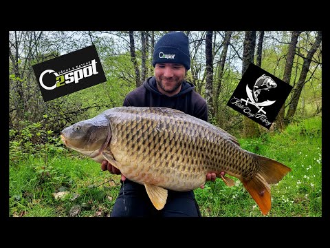 Session a l'étang des bussieres // Fish 20+
