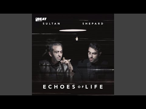 All Of Your Weapons (Sultan + Shepard VIP Mix)