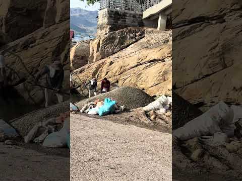 Se activó la construcción en prado tolima