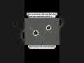 What your brain cells look like when you learn something NEW #shorts #neuroscience #neuroplasticity
