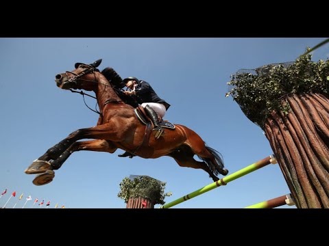 Equestrian Sport In The Olympic Game Horses Jumping Dressage