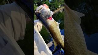 ready to get back on the water! #bassfishing #bass #fishing #crappiefishing #jonboattobassboat