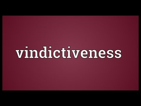 Vindictiveness Meaning