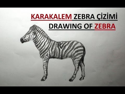 Cizilir Novyj Trend Smotret Onlajn Na Sajte Trendovi Ru