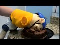 Jeffy Eats Chocolate Cake in a Bathroom