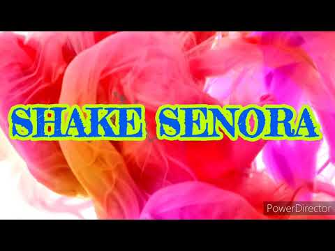 SHAKE SENORA 🎶 DJ SHORTY vs EL MICHA