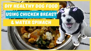DIY HEALTHY DOG FOOD USING CHICKEN BREAST & WATER SPINACH (KANGKONG)