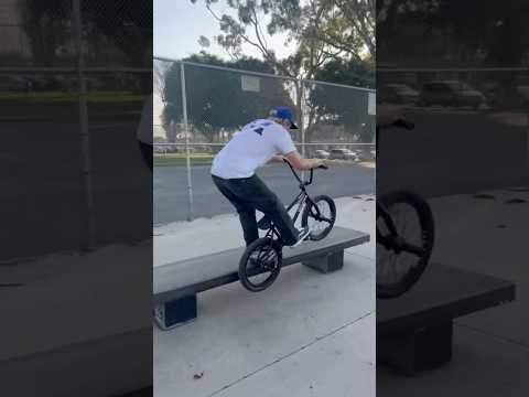 Dan Kruk lines___ ———