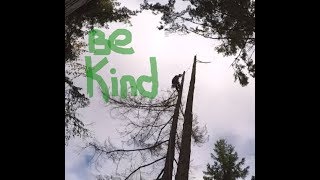 ONE MAN TREE REMOVAL AND CLEAN UP