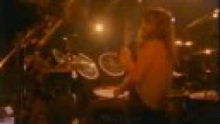 Wild Metallica (the old days)