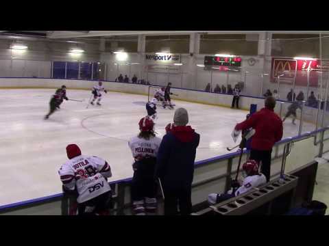 Karhu kissat-Hifk Ch 13.11.2016