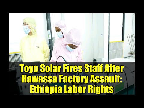 Toyo Solar Fires Staff After Hawassa Factory Assault: Ethiopia Labor Rights