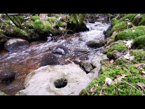 JAKTEN på den FÖRSVUNNA KVARNEN i västra SÖRBY - 210310 - Ronneby - BLEKINGE - Huawei p30 PRO