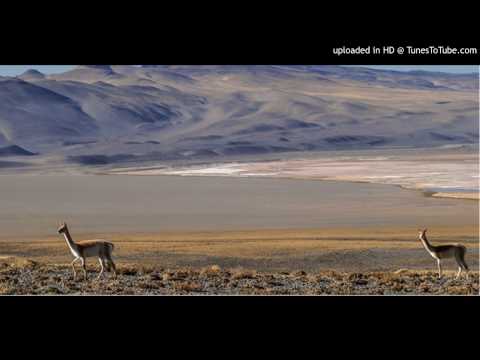 Today's Tango Is... Catamarca - Juan D'Arienzo 20-10-1969