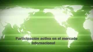 preview picture of video 'Video Corporativo Ecosolutions (México)'