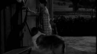 Lassie - The Runaway - 08 September 1957 (Preview Clip)