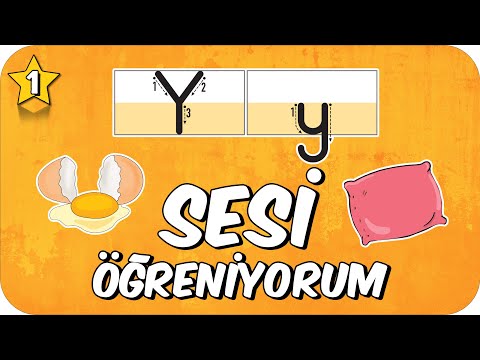 Y Sesi Öğretimi 🦀 Okunuşu ve Yazılışı 🐬 1.Sınıf #2025