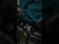 InnoTab 2 Destruction