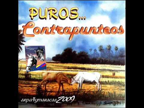 Final Contrapunteo  Lorgio Vs Misael Ramírez