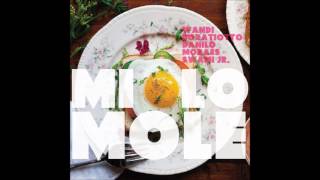 9. Maxixe Árabe - Miolo Mole (Swami Jr. e Danilo Moraes)